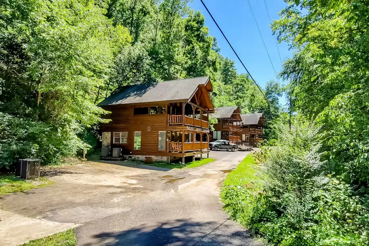 This broader exterior shot shows charming log cabins set amongst lush greenery with a paved driveway, suggesting both seclusion and convenient access. The image hints at the surrounding natural beauty and the proximity to local attractions.