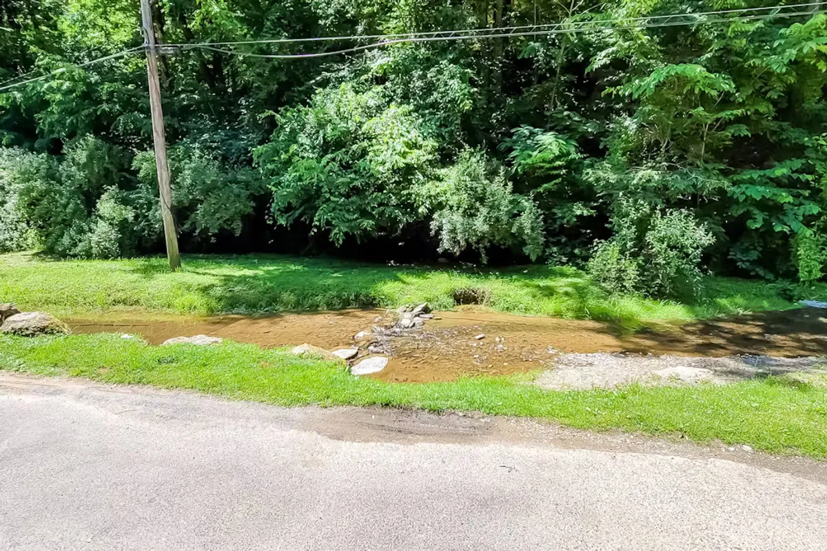 A serene view of a shallow creek bordered by lush greenery, setting the mood for peaceful nature walks and moments of reflection. The natural beauty and running water underscore the cabin’s unique creekside setting.